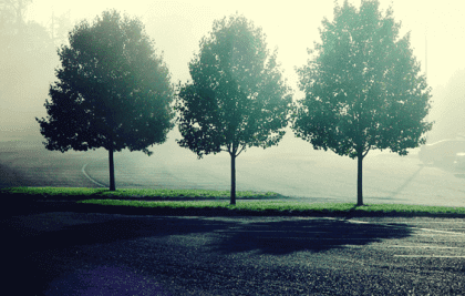 3 caminhos de fuga que alimentam a angústia