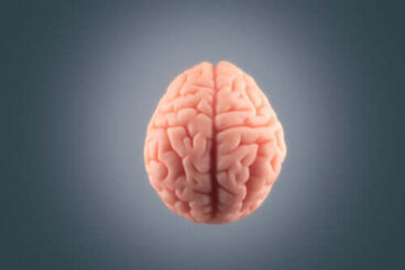 O que acontece com o cérebro antes da morte?