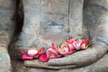Os eixos do amor segundo o budismo