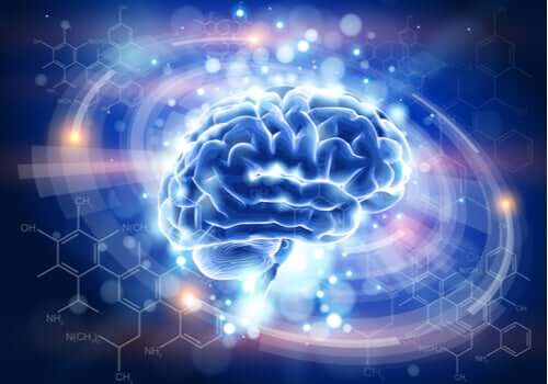 Encefalinas, neurotransmissores que combatem a dor