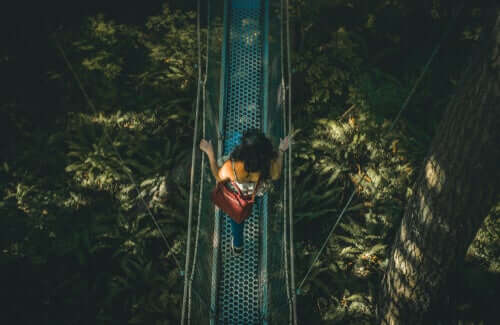 A fascinante teoria da atribuição errônea de Dutton e Aron