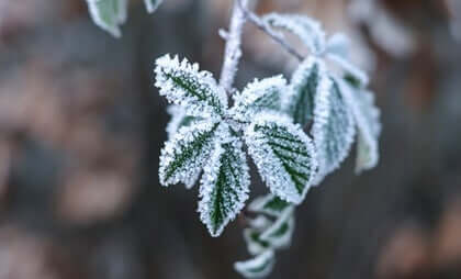 Como conviver com uma pessoa alexitímica