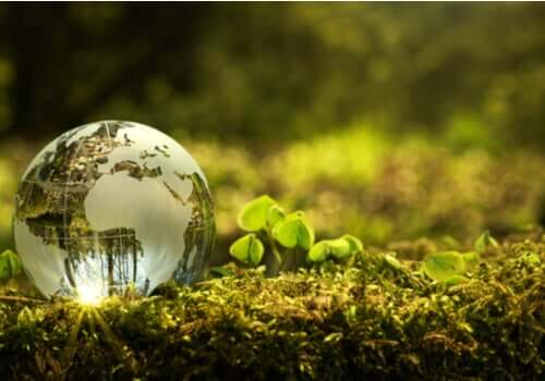 Como posso contribuir para melhorar o meio ambiente na minha comunidade?