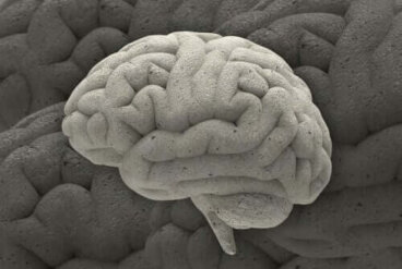 Três fascinantes casos da neurociência