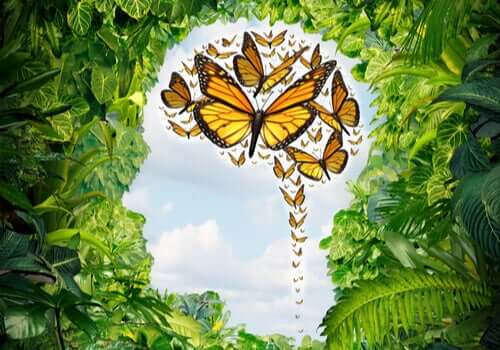 7 maneiras de entender a psicologia