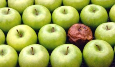 A teoria da maçã podre: o efeito do mau colega de trabalho