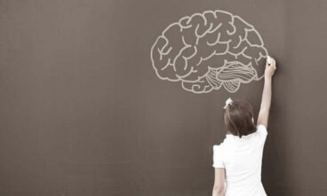 A neuropsicologia do desenvolvimento infantil