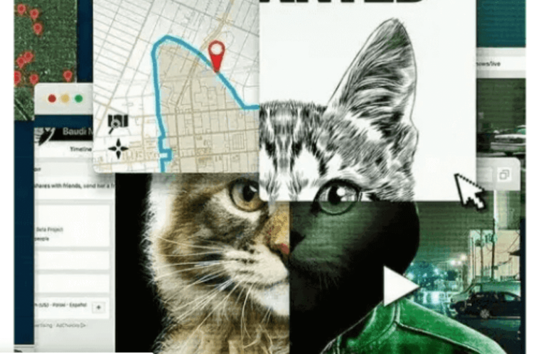 Don't F**k With Cats: uma caçada online