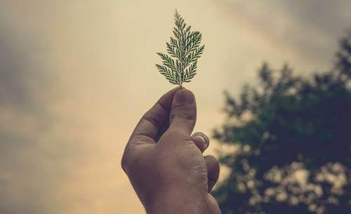 O que podemos fazer para ajudar durante a pandemia?