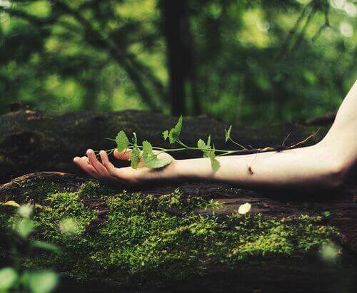 Quando acredito em mim mesmo, desperto as minhas forças e não deixo de crescer