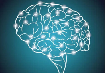 O maior experimento do mundo sobre a inteligência