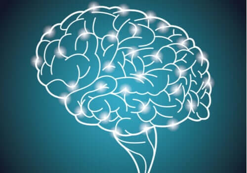 O maior experimento do mundo sobre a inteligência