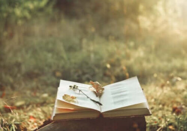 Como a poesia pode aliviar a dor