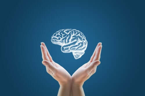 Minicérebros criados em laboratório: o início da clonagem humana?