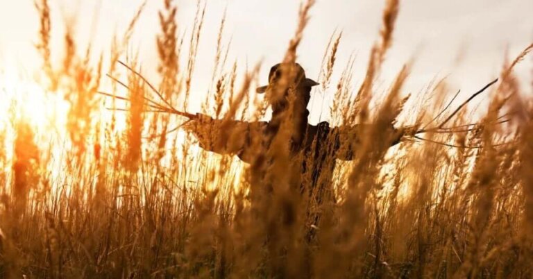 Estratégia do espantalho para resolver problemas