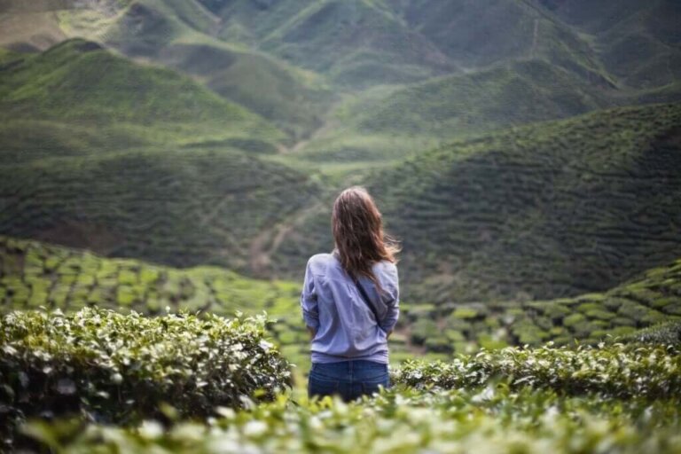 Você é mais do que os seus erros