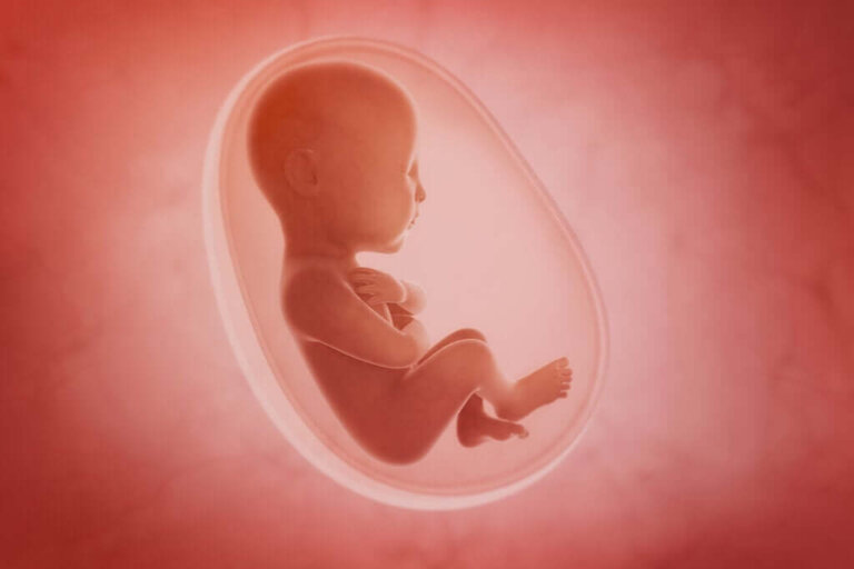 Quais sentidos o ser humano desenvolve primeiro?