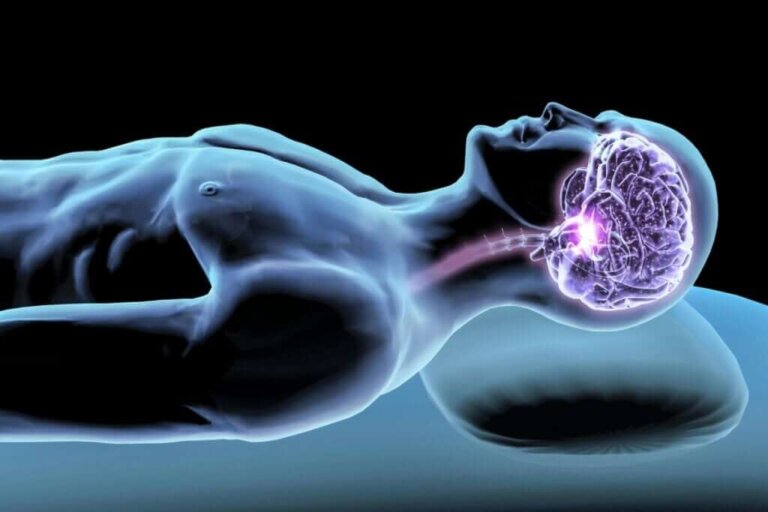 Hormônios do sono: mediadores do seu descanso