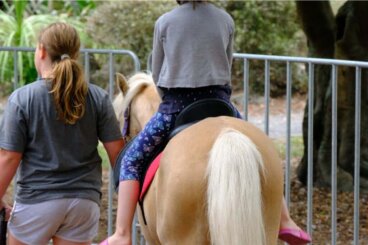 Equoterapia: benefícios, aplicações e disciplinas