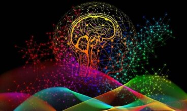 Impressões digitais do cérebro: o que são e qual é a sua importância?