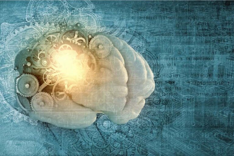 O que é a metamemória?