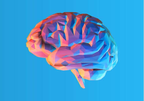 A teoria modular da mente