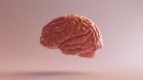 Funções do neuropsicólogo