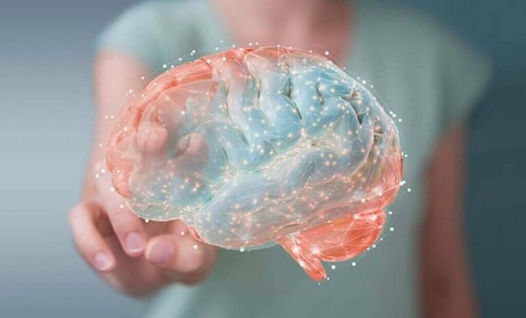 Endocanabinoides, substâncias químicas cerebrais semelhantes à maconha