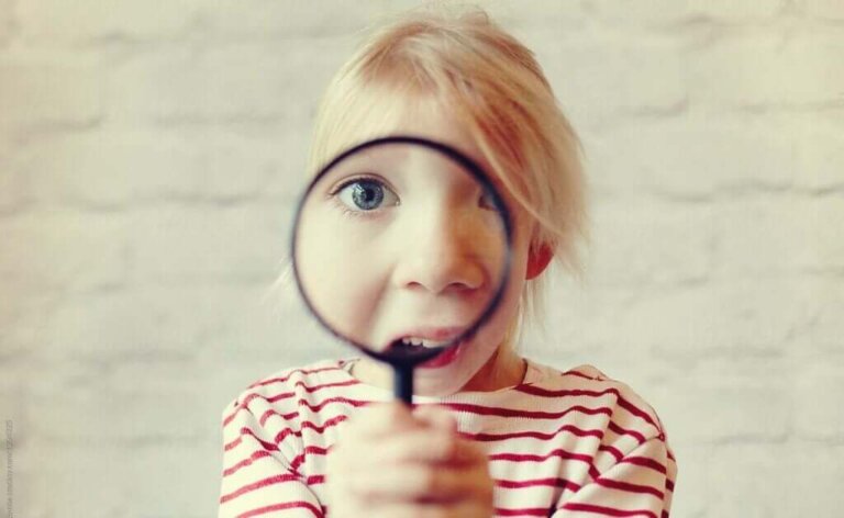 Como funciona o princípio da curiosidade na mente humana?