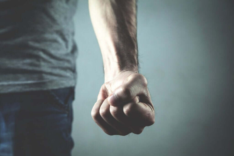 Quais são as causas da agressividade?
