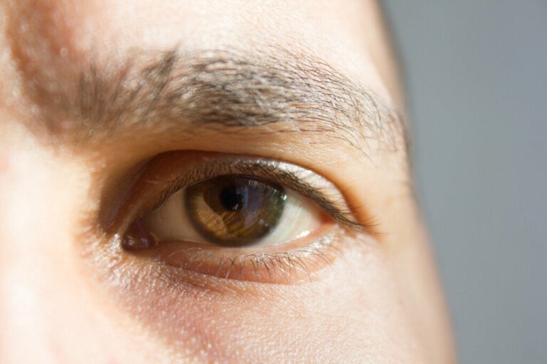 7 curiosidades sobre os sentidos