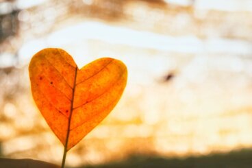 O amor incondicional como forma de superar uma separação