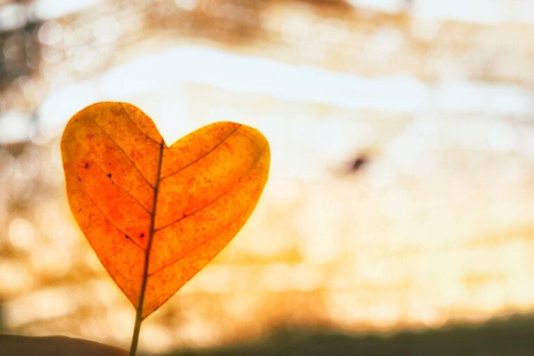 O amor incondicional como forma de superar uma separação