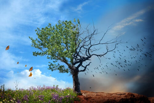 Saúde ambiental, por que é importante?