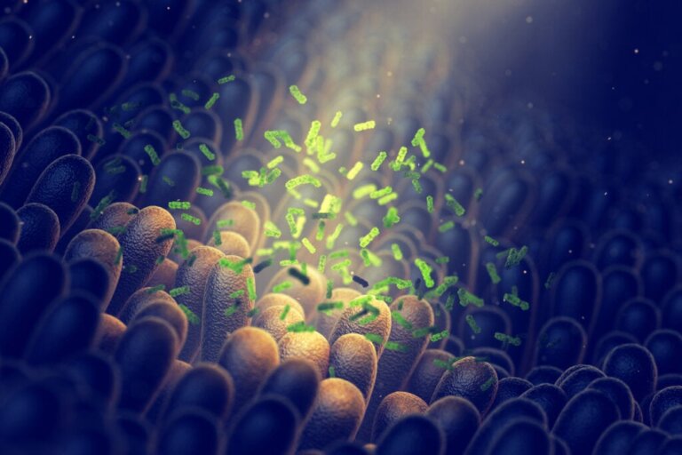 Microbiota e depressão: como estão relacionadas?