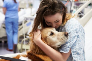 Pet terapia: o que é e quais são seus benefícios