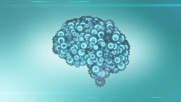 Que porcentagem do cérebro usamos?