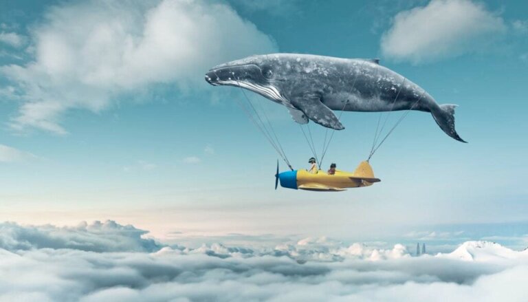 7 curiosidades do livro "A interpretação dos sonhos" de Freud