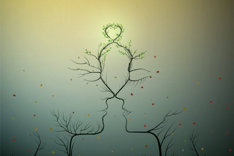 Quais são as diferenças entre atração, paixão e amor?