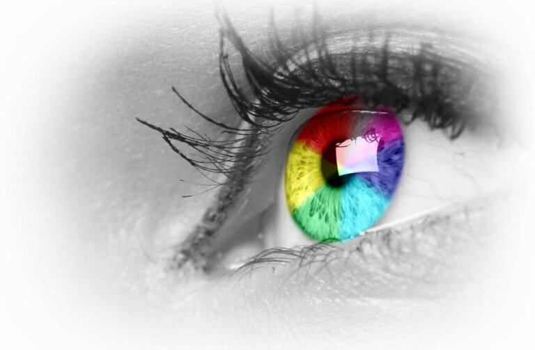 Tetracromatas: e você, consegue enxergar 100 milhões de cores?