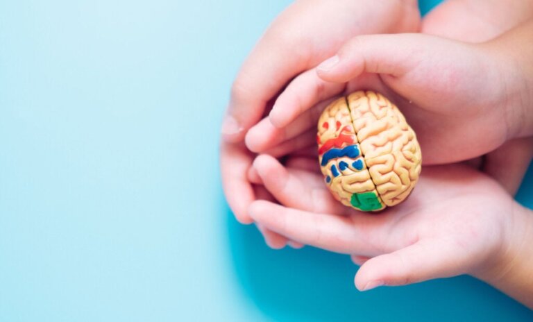 Desenho universal para aprendizagem: oportunidades para todos