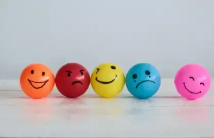 As 8 emoções básicas, de acordo com a roda de Plutchik