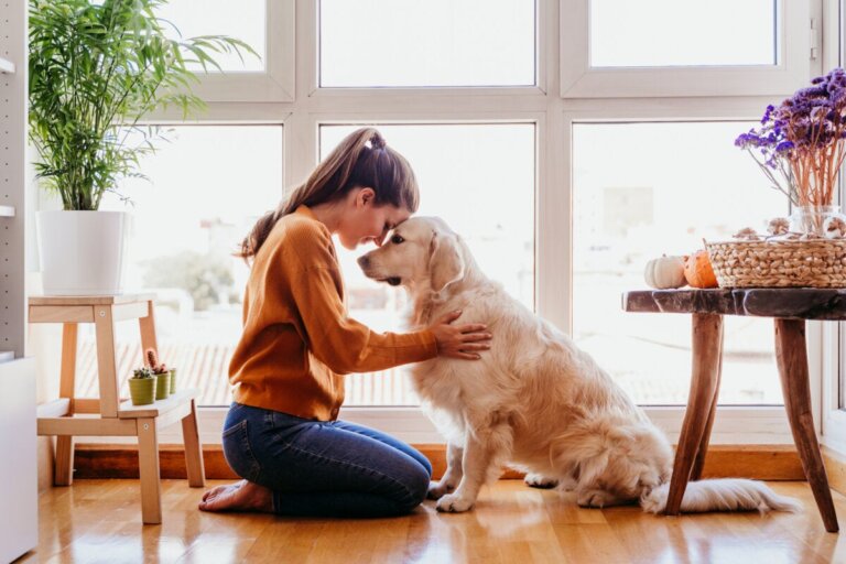 Por que ter um animal de estimação beneficia sua saúde mental?