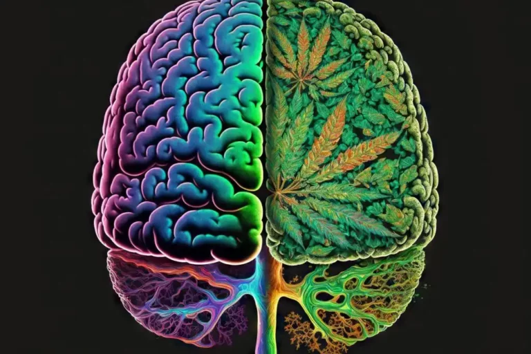 A relação entre maconha e esquizofrenia