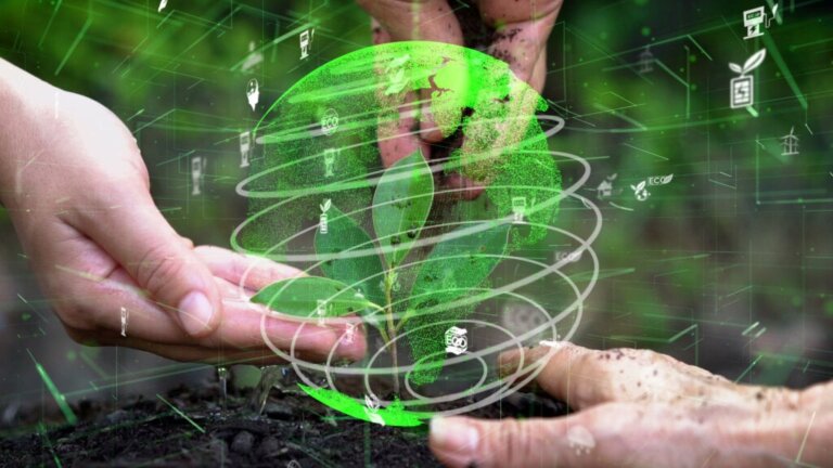 Filosofia ambiental: a reflexão do século XXI