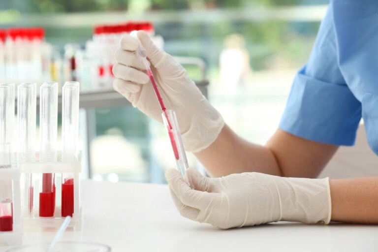 O tipo de sangue influencia sua personalidade?