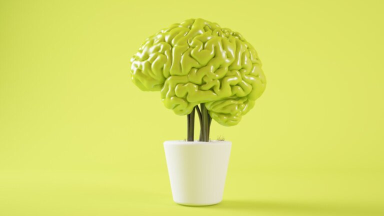 3 mitos sobre a mentalidade de crescimento