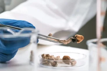 Psicodélicos e doenças terminais